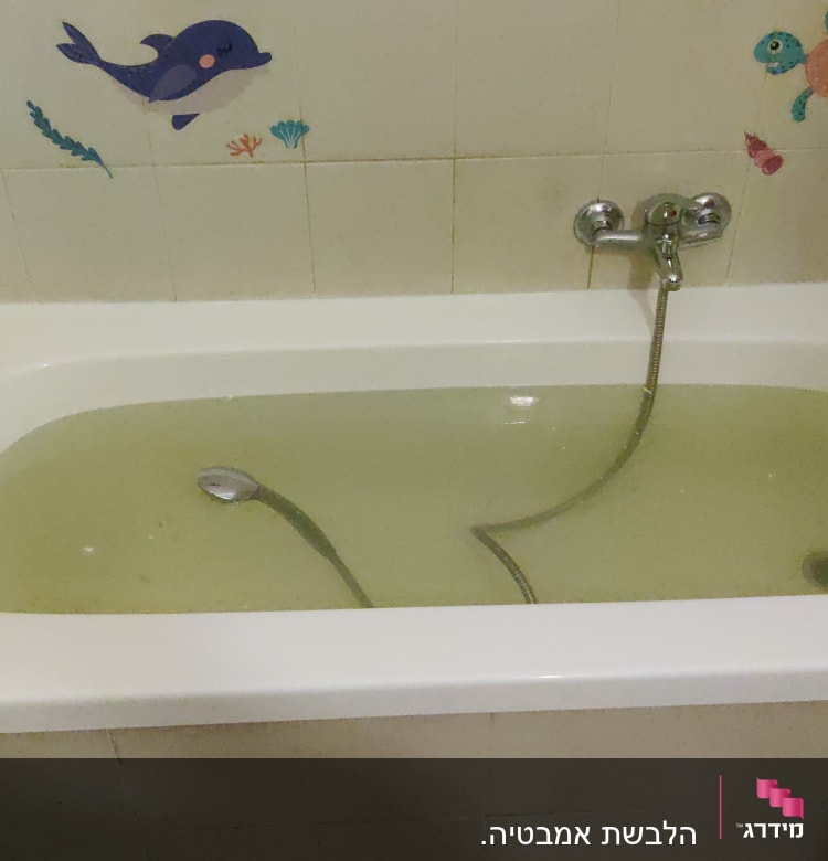 אמבטיה עם מים עכורים וברז מקלחת